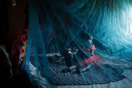 Climate change is accelerating the spread of infectious diseases, warns expert