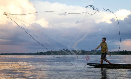 WWF’s latest Living Planet Report gives us five years before it's too late