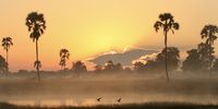 Hwange. Photographer: Eric Meyer