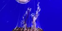 Awesome day at Two Oceans Aquarium. Photographer: John Barbe