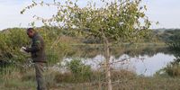Rodolfo Cumbane consulting his bird guidebook at the edge of a lake within Maputo National Park. (Photo: Keith Bain)