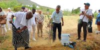 Planting justice — why an olive grove honouring anti-apartheid heroes matters for SA’s future