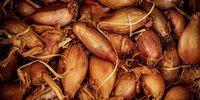 Shallots. (Photo: Nick Fewings on Unsplash)<br>