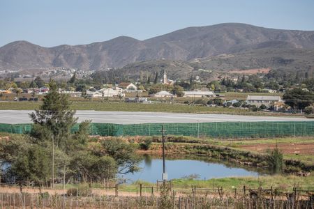 Hunt for escaped crocodiles continues in Cape winelands tourist valley