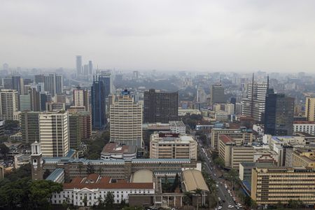 Tanzanian activist released after being 'kidnapped' in Kenya's capital