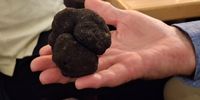 The lucky truffle winner with the prized prize in hand. (Photo: Wanda Hennig)