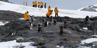 Don-Antarctica tourism