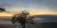 Early morning Bathurst farm. Photographer: Andre Roche