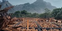 Watch – Is Kirstenbosch National Botanical Garden dying from the inside?