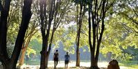 A walk in the park. 
