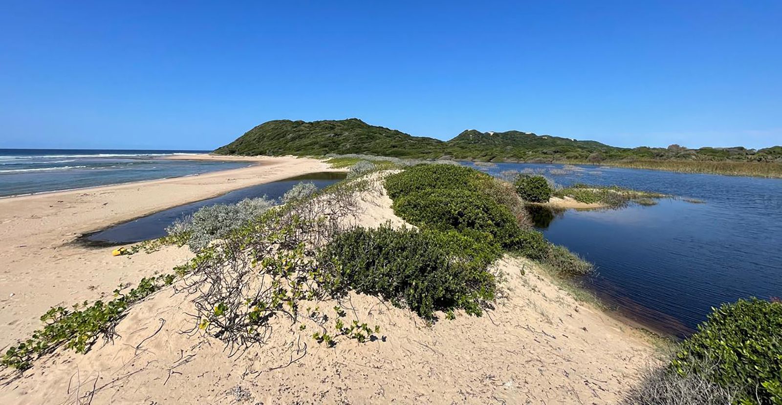 Maputo National Park declared a Unesco World Heritage Site