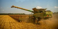 Cheaper to buy maize than grow it — SA grain farmers under the hammer