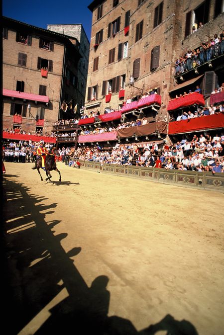 Siena and the horse race that drives locals wild