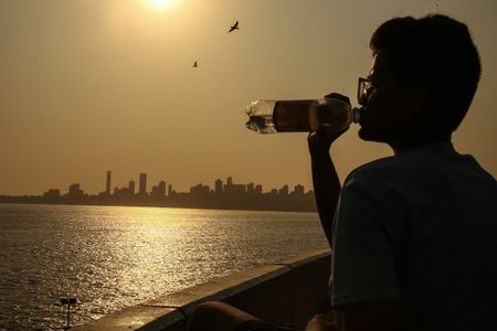 Heat wave, elections in India create unlikely earnings winners and losers