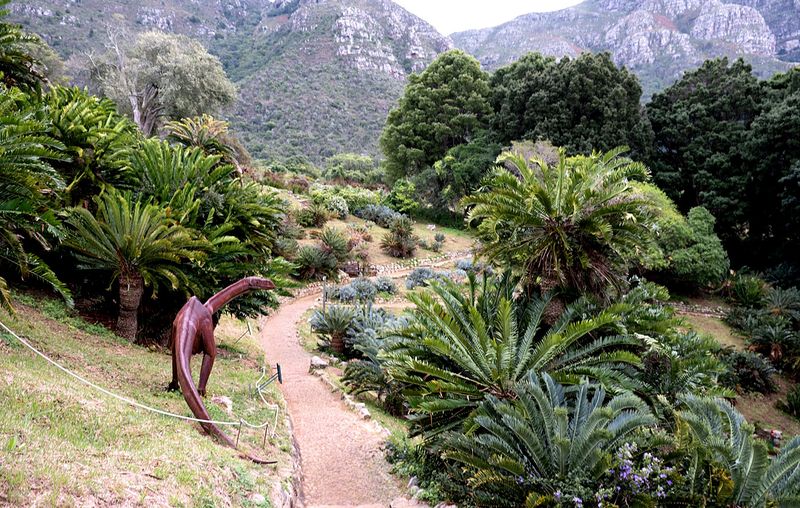 Parliament shines the spotlight on Kirstenbosch’s hidden decline