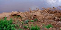 Kruger floods 2 KNP-2