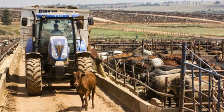 We urgently  need to change how our food is produced, distributed, wasted and consumed to avoid climate chaos