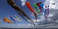 Kites fly during the Kite Festival 'Fortolet' at the historical complex 'Fort Konstantin' in Kronstadt, outside St. Petersburg, Russia, 07 June 2025.  EPA-EFE/ANATOLY MALTSEV