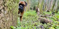 We see you, Spike! Photographer: Nicky Elliott