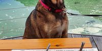 And where's my treat? Fick's Pool, Hermanus.
