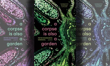 Experience the depth of SA life: Pieter Odendaal's poetry now accessible in English