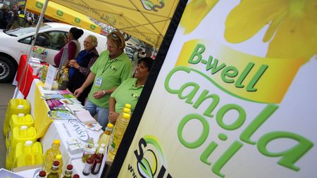 Controversy brews: ACB's objection to GM canola field trials sparks environmental debate