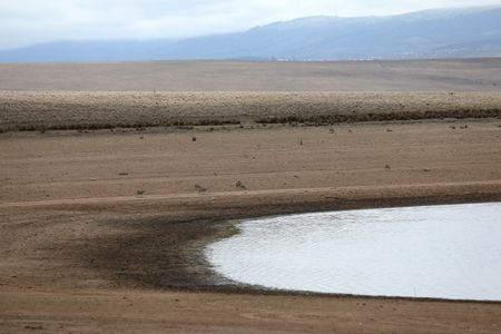 Water levels below 50% as drought rips through Eastern Cape