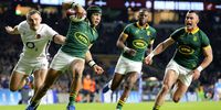 Springboks won’t allow another Wallaby Ellis Park fiasco against England
