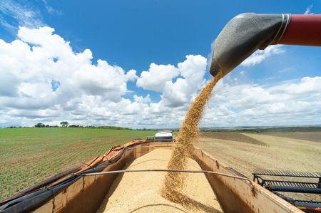 Surprise tax change upends trading in crop powerhouse Brazil