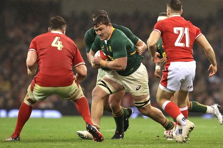 Springboks bolster depth to set platform for 2023 World Cup assault