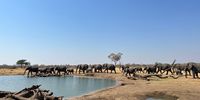 The real life giving value of water. Photographer: Liz Beare.