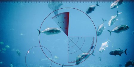 Fishers and environmental activists express concern over proposed drilling off SA’s West Coast