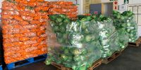 Daniélle Food waste regulation