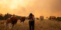 Photo Essay-InPictures26