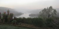 Breede River early morning fog. 29th June 2022. Image: D. Knorr