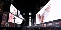 Photo Essay-In Pictures18