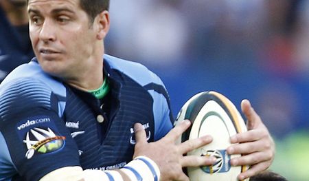 Sharks: Once bitten – hopefully not twice shy