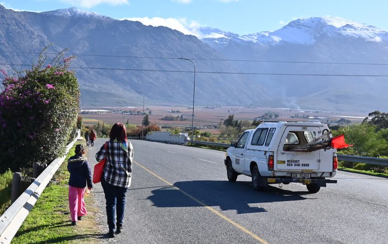 In the thorns: Farmworkers exposed to pesticides  in De Doorns fear speaking out
