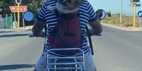 Popping down to the beach for a run! Photographer: Jacques Taljard