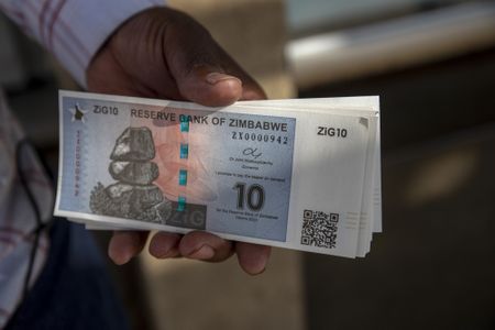 Zimbabwe may adopt ZiG as sole currency before 2030, president says