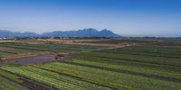 Draining the truth — why Cape Town’s ‘groundwater crisis’ is highly exaggerated
