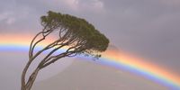 In the time of supermoons, comets and rainbows. Photo: Lucinda Jolly