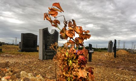 Almost 350 children died of malnutrition in SA during lockdown in 2020