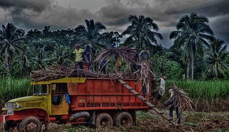 Op-Ed: Biofuel from sugarcane – why is SA not rushing ahead?