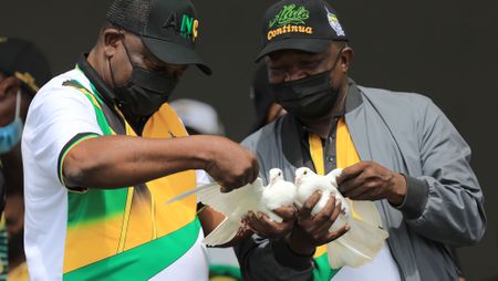 Renewal in the ranks: ANC must excise the systemic rot afflicting the party