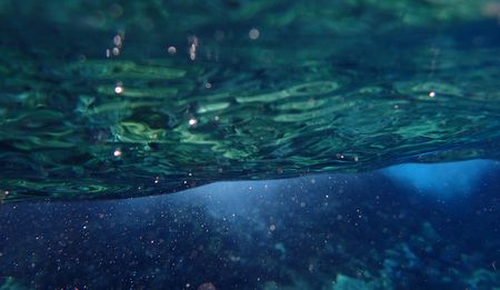 Alarm at seabed destruction from SA phosphate mining