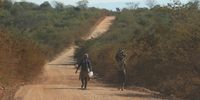 Fetching firewood and having to walk a long road back home in Mulenzhe village. (Photo: Felix Dlangamandla)