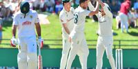 Proteas fight