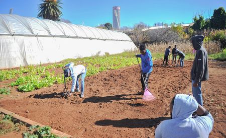 Mam Molefe remains in the dark as bulldozers, City of Joburg condemn Bertrams Inner City Farm