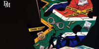 Watch – ‘Private militias,’ murders, drugs: South Africa’s crime flashpoints